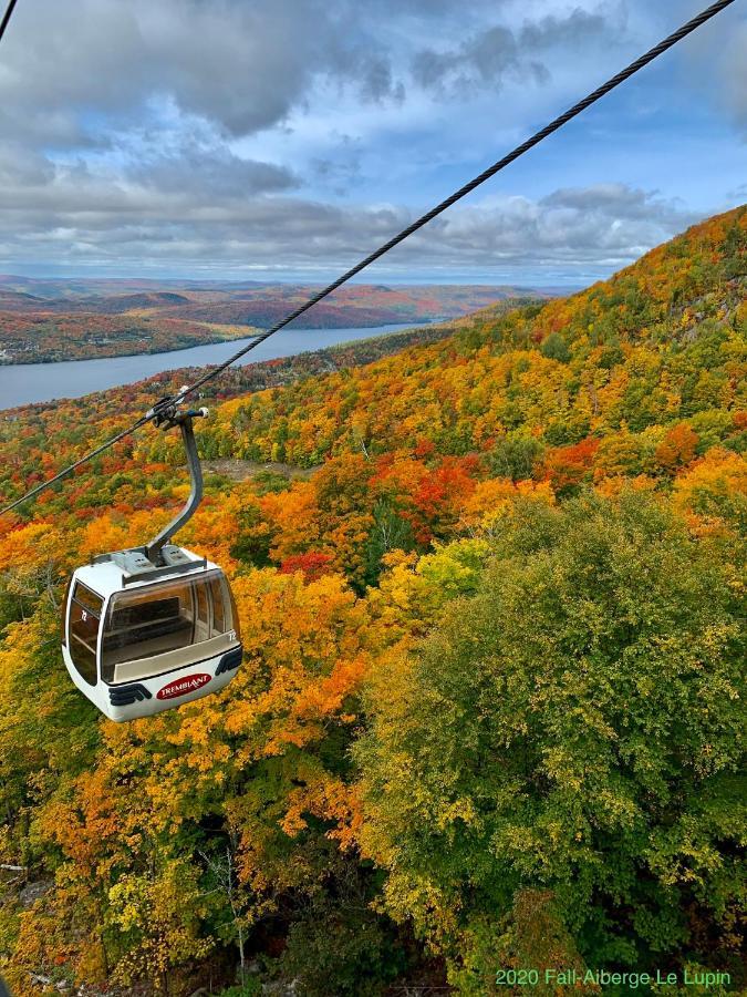 Auberge Le Lupin-Self Check-In Mont-Tremblant Ngoại thất bức ảnh