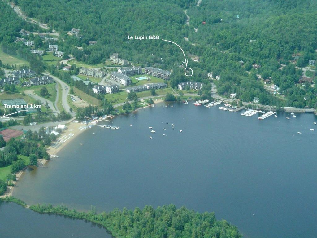 Auberge Le Lupin-Self Check-In Mont-Tremblant Ngoại thất bức ảnh